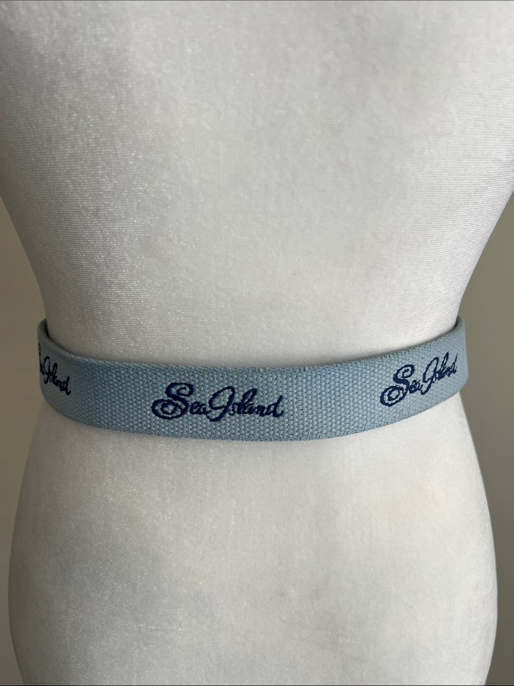 Peter Millar Sea Island kids belt size large blue